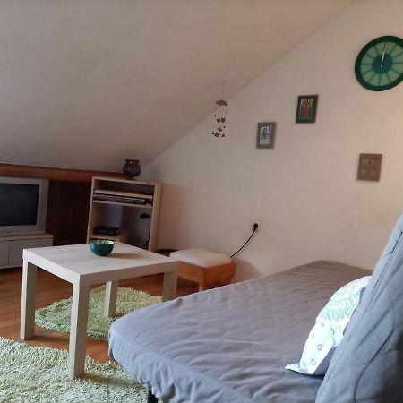 Apartman Lara เบลเกรด ภายนอก รูปภาพ